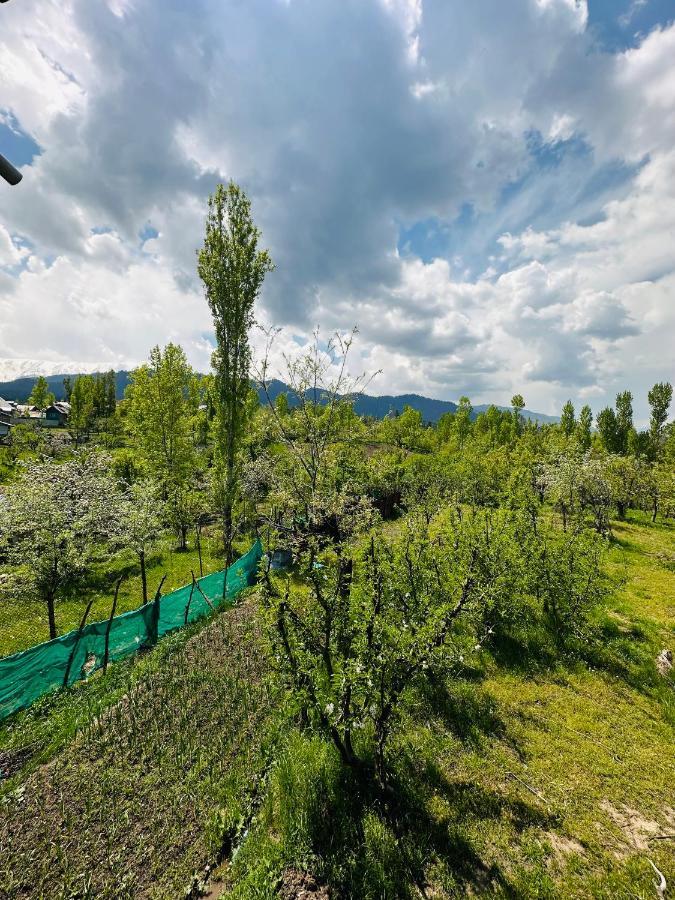 Sheen Homestay Гульмарг Экстерьер фото
