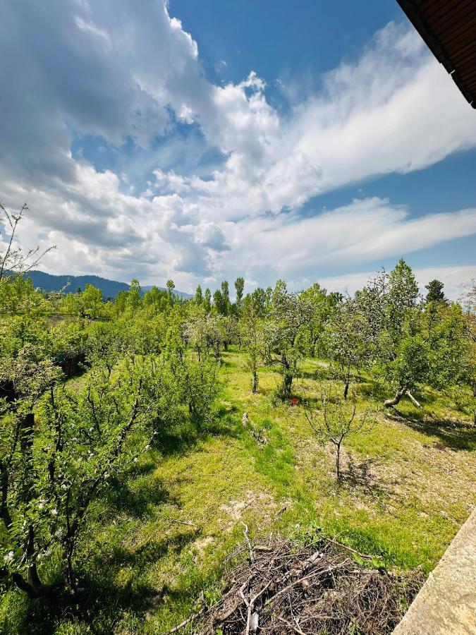 Sheen Homestay Гульмарг Экстерьер фото